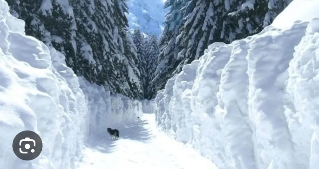 Vikendice Preradovic